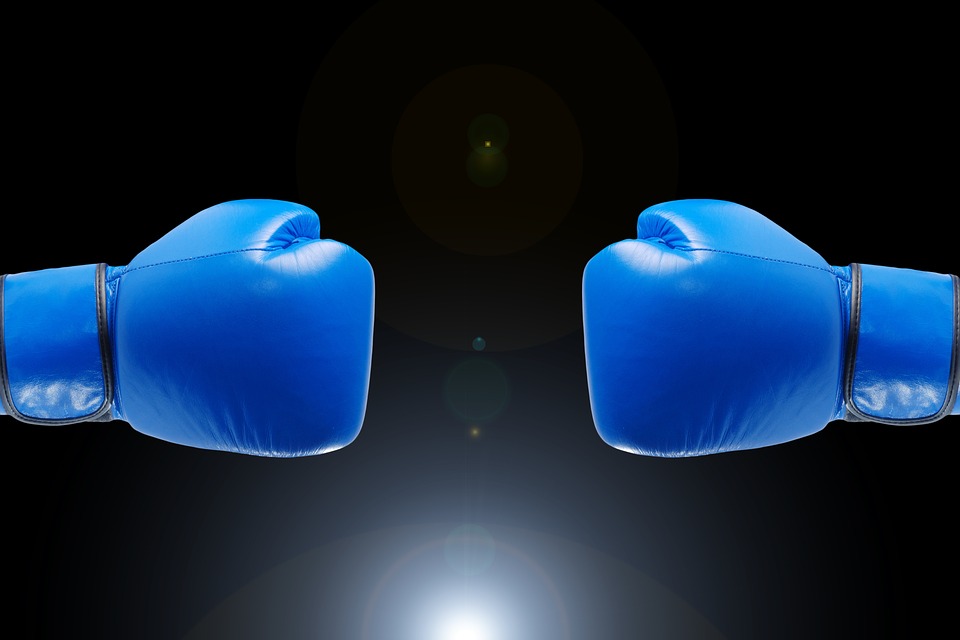 Boxing gloves